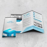 Brochure Printing: Why Does Your Business Need it?