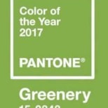 Color Print Communications Never Go Out of Style