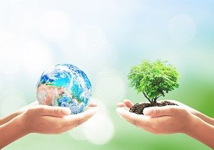 environmental impact of printing