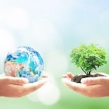 Myth vs. Fact – The Environmental Impact of Printing