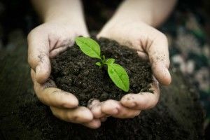 Print Communications: Smart Ways to Reduce Waste