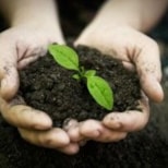 Print Communications: Smart Ways to Reduce Waste